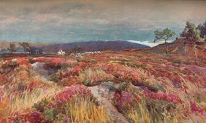希思·利特切特大教堂，c1904年