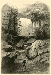黑水河的瀑布》，1872年。   作者 弗雷德里克·威廉·夸特利