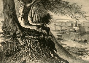 萨瓦纳号，在奥古斯塔》，1872年。  
