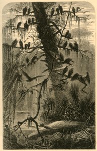 等待分解》，1872年。  