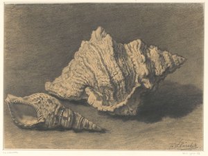 两枚炮弹 作者 弗雷德里克·威廉·苏尔彻