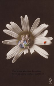 一对年轻夫妇在一朵花的中心与瓢虫（有色photocollage） 作者 法国摄影师