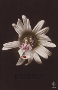 一对年轻夫妇在一朵花的中心与瓢虫（有色photocollage） 作者 法国摄影师