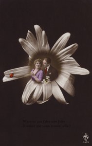 一对年轻夫妇在一朵花的中心与瓢虫（有色photocollage） 作者 法国摄影师