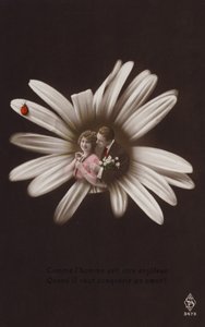 一对年轻夫妇在一朵花的中心与瓢虫（有色photocollage） 作者 法国摄影师