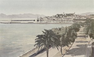 戛纳，港口和老城区，Boulevard de la Croisette 作者 法国摄影师