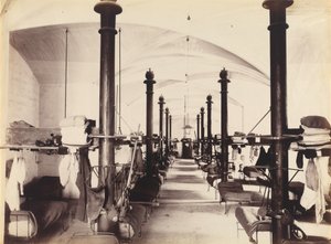 1860 年代，法国阿维尼翁教皇宫殿花园（照片） 作者 法国摄影师