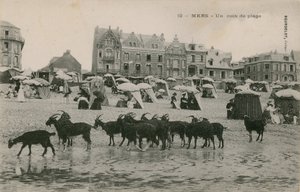Mers  - 海滩的一部分。明信片于1913年寄出。 作者 法国摄影师