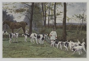 Pack of hounds of Baron de Carayon-Latour at Virelade, France (colour photo) 作者 French Photographer