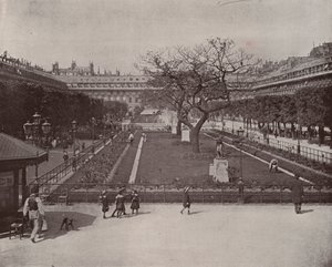 Paris: Garden of the Palais Royal (b/w photo) 作者 法国摄影师