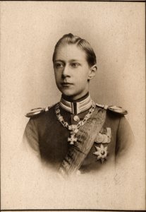 威廉王子（1882-1951）的肖像，德国王储 作者 法国摄影师