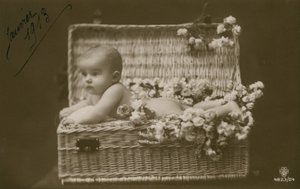 一个婴孩的明信片一个柳条筐的与花，在1913年1月被送 作者 法国摄影师