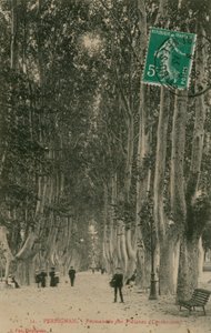 佩皮尼昂的Promenade des Platanes。明信片于1913年寄出。 作者 法国摄影师
