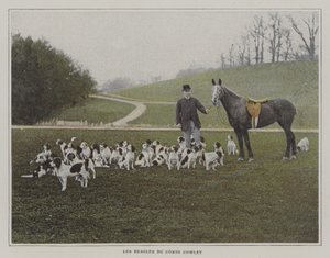 The beagles of Count Cowley (colour photo) 作者 法国摄影师