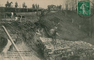 维莱科特雷。 The Forest  -  Crew Menier Hallali de Cerf at silly-la-Poterie。明信片于1913年寄出。 作者 法国摄影师