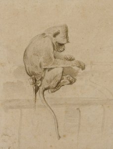 猴子（墨水在纸上） 作者 法语学校