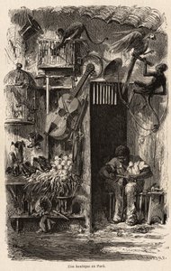 A shop at Para, illustration for Mr.Biard