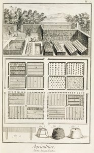 菜园，来自Denis Diderot的科学，艺术和工程百科全书（1713-84），1770 作者 法语学校