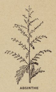 苦艾酒（雕刻） 作者 法语学校