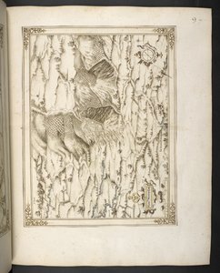 添加 MS 21117 f.7r 法国 Le Monthullin，摘自 François Martilleur 为 Maximilien de Béthune 绘制的 "法国城镇和要塞地图、平面图和视图"。 作者 法语学校