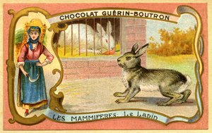 巧克力Guerin Boutron，哺乳动物，兔子笼子和野生，沃伦的广告色谱 作者 法语学校