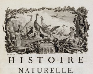 Allegorie d