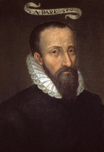 安布罗伊斯-帕雷16世纪（绘画） 作者 法语学校