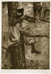 阿尔及利亚神枪手在1914年至1919年在木头的掩蔽下工作 作者 法语学校
