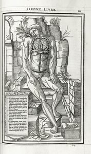 解剖图，1546年 作者 法语学校