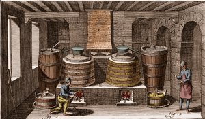 白兰地酒厂--《大百科全书》或《科学、艺术和工艺词典》（《百科全书》或《科学、艺术和工艺词典》），作者丹尼斯-狄德罗（1713-1784）和让-狄德罗（1713-1784）。 作者 法语学校