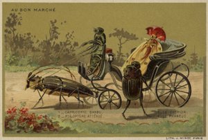 Au Bon Marche卡片以拟人昆虫为特色 作者 法语学校