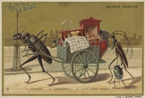 Au Bon Marche卡片以拟人昆虫为特色 作者 法语学校