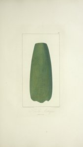 阿兹特克斧头，插图来自亚历山大-冯-洪堡和艾梅-邦普朗的《美洲印第安人的科迪勒山脉和纪念碑》。 作者 法语学校