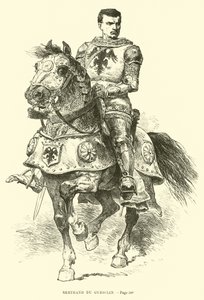 Bertrand du Guesclin 作者 法语学校
