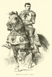 Bertrand du Guesclin 作者 法语学校