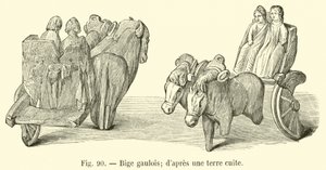 Gallic bige; dapres一个兵马俑 作者 法语学校