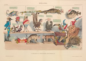 自然历史内阁，来自漫画，酒吧。 1833年（手工彩色版画） 作者 法语学校