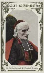 Cardinal Perraud，来自Academy-Francaise（彩色照片） 作者 法语学校