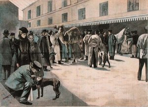 在阿尔福特国家兽医学院护理骆驼，约1898-99年（彩色雕刻）。 作者 法语学校
