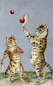 Cats playing tennis - postcard early 20th century. 作者 法语学校