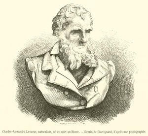 Charles-Alexandre Lesueur，博物学家，生于和死于勒阿弗尔（版画） 作者 法语学校