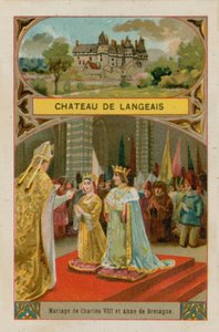 Chateau de Langeais 作者 法语学校