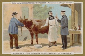Chocolat dAiguebelle贸易卡 作者 法语学校