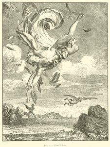 Chute d
