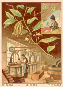 Cocoa (chromolitho) 作者 法语学校