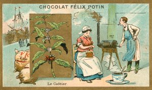 咖啡 (chromolitho) 作者 法语学校