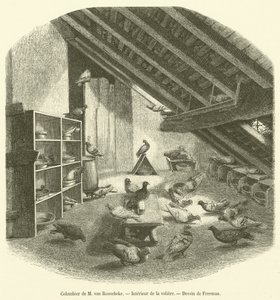 Colombier de M van Roosebeke，Interieur de la aviary（雕刻） 作者 法语学校