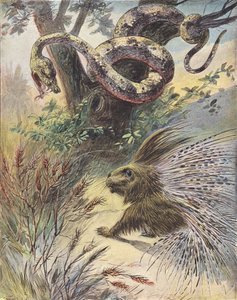 蛇与豪猪的对峙（彩色石版画） 作者 法语学校