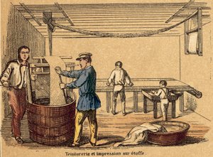 Cotton (coloured engraving) 作者 法语学校
