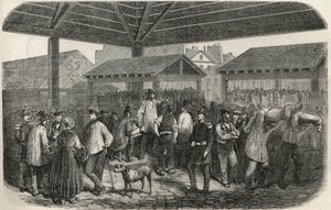 巴黎第一区普鲁瓦尔街市场上的克里族肉店--埃德蒙-特克西尔1852年所作的 "巴黎表 "中的版画。 作者 法语学校